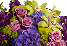 Flower Delivery to Ormond Beach by Simply Roses